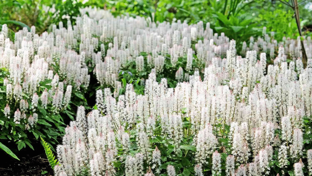 12 Best Shade-Loving Perennials That Stay Put and Look Stunning All Season