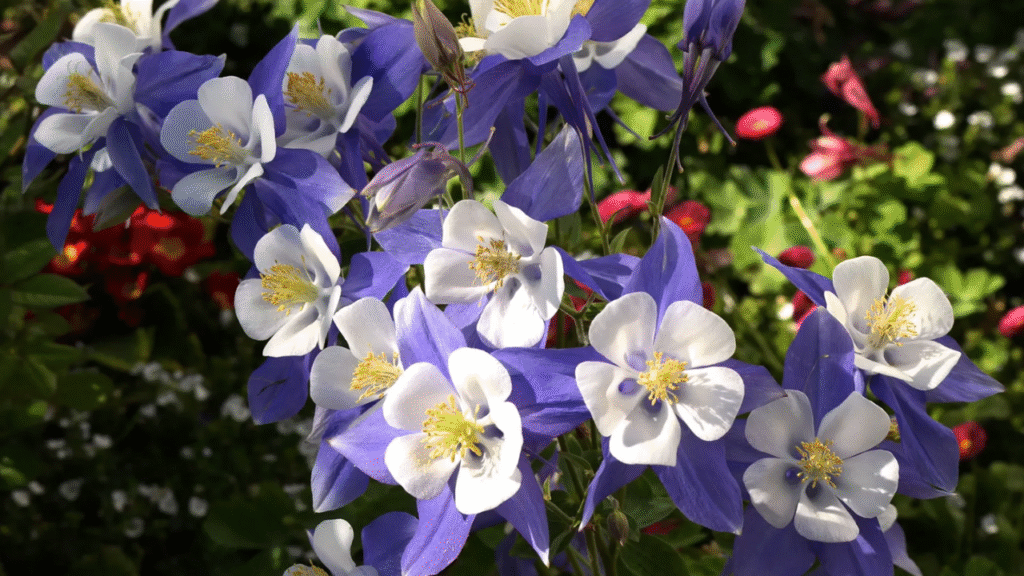 12 Best Shade-Loving Perennials That Stay Put and Look Stunning All Season