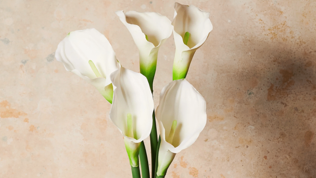 15 Summer-Ready Bulbs to Plant in May & 6 That Won’t Bloom Until Next Season
