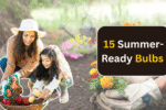 15 Summer-Ready Bulbs to Plant in May & 6 That Won’t Bloom Until Next Season