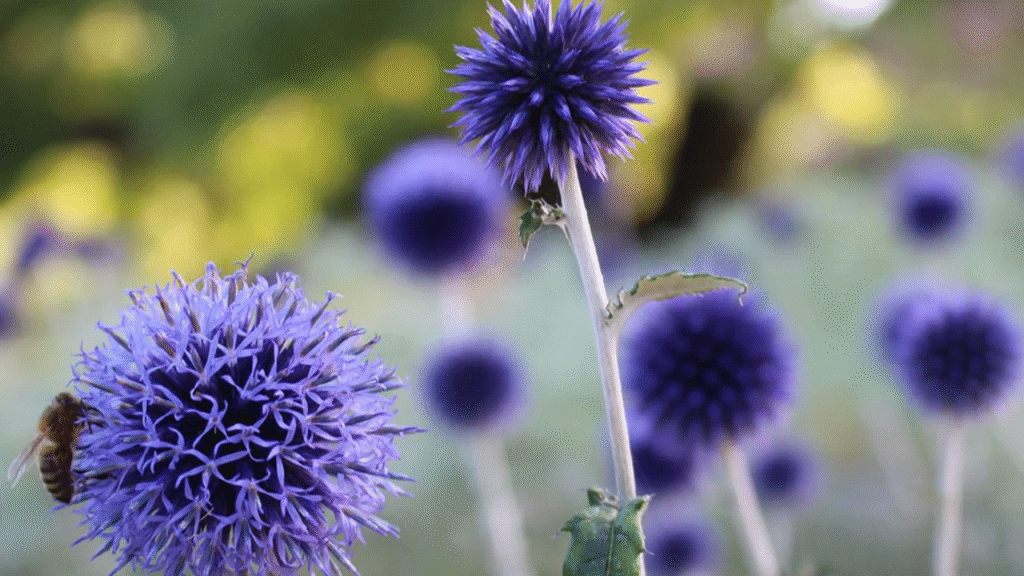20 Blue Perennials That Will Enchant Your Garden with Yearly Blooms