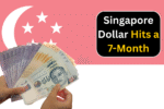 Singapore Dollar Hits a 7-Month High Against the US Dollar: What’s Next for 2025?