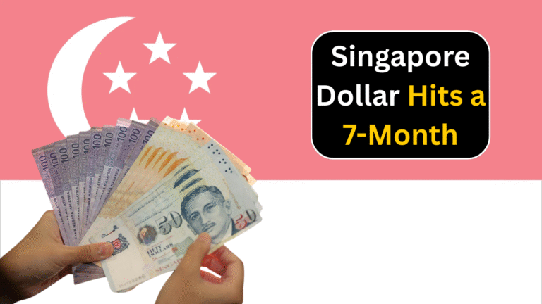 Singapore Dollar Hits a 7-Month High Against the US Dollar: What’s Next for 2025?